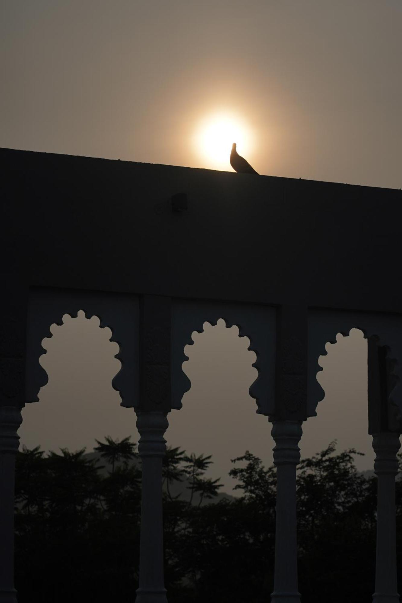 The Tiger Villa Ranthambore Atd India Group Sawai Madhopur Zewnętrze zdjęcie